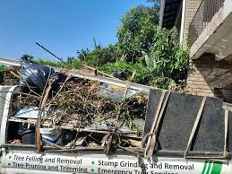 Best Residential Junk Removal  in Argyle, TX